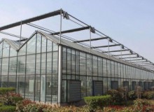 預防大雪壓塌及大棚溫室除雪方法大集合！